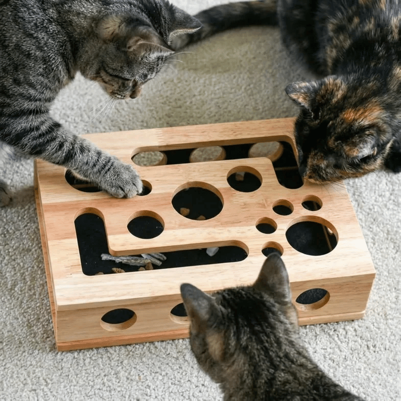 🐾 Finally, A Stress-Free Way To Care For Your Cat’s Claws-YH