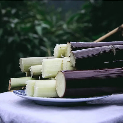 Premium High-Sucrose Sugarcane Seeds | 1000+ Non-GMO Hybrid Sugar Cane Seeds for Home Gardening 🌿🍬-YH