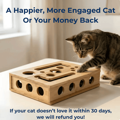 🐾 Finally, A Stress-Free Way To Care For Your Cat’s Claws-YH