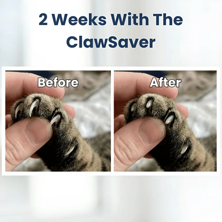 🐾 Finally, A Stress-Free Way To Care For Your Cat’s Claws-YH