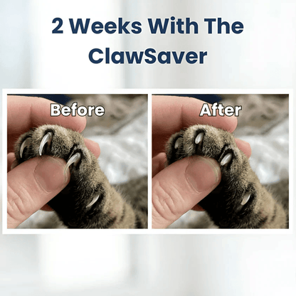 🐾 Finally, A Stress-Free Way To Care For Your Cat’s Claws-YH
