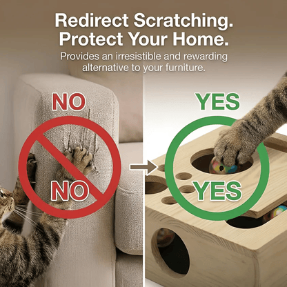 🐾 Finally, A Stress-Free Way To Care For Your Cat’s Claws-YH